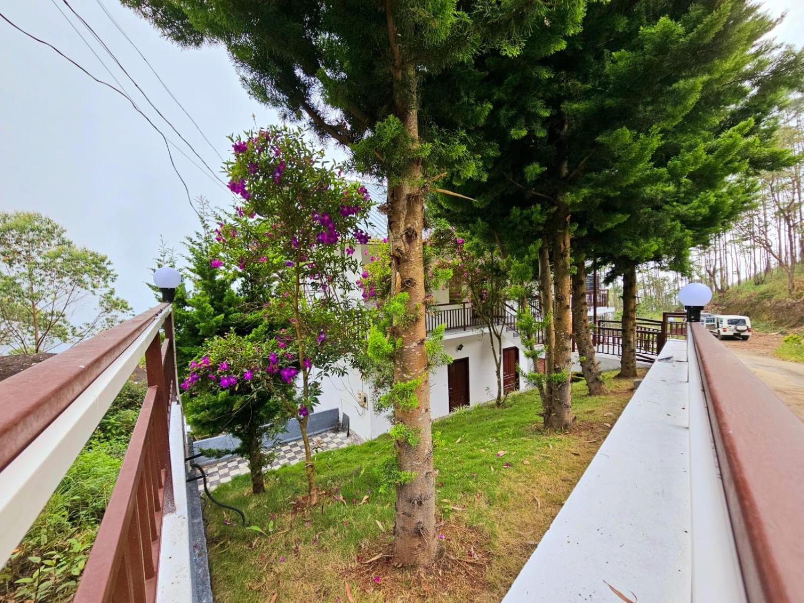 Bed and Breakfast Rock And Mist Munnar Devikolam Esterno foto
