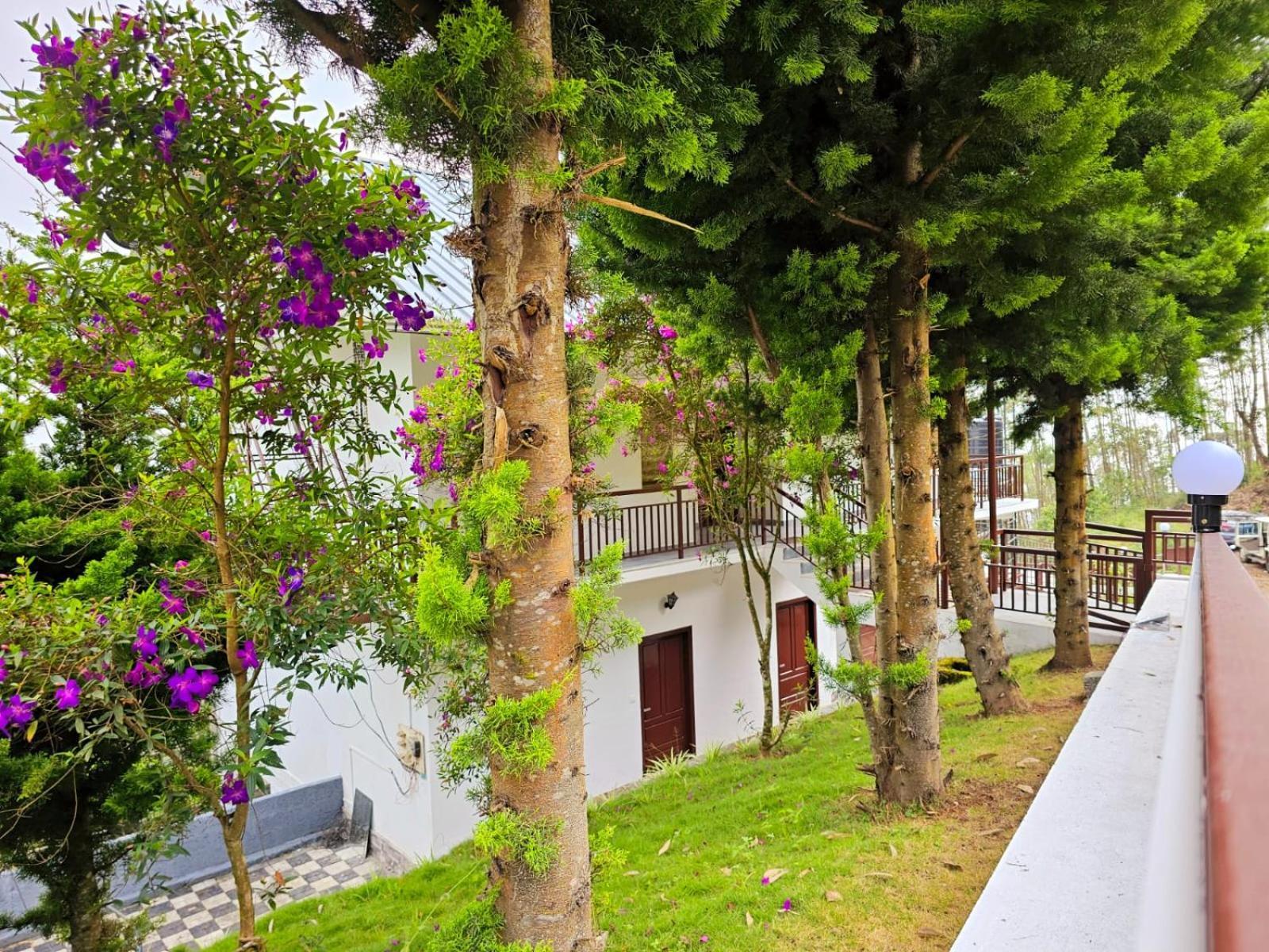 Bed and Breakfast Rock And Mist Munnar Devikolam Esterno foto